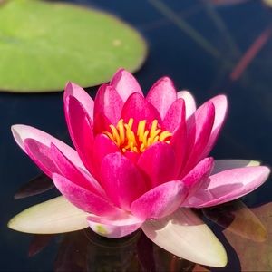 Meet your Posher, Andy